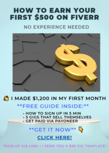 0 on Fiverr – no experience